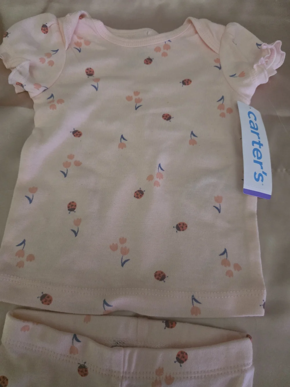 Carter's Light Pink Floral & Ladybug Toddler Pajama Set